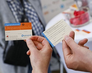Zwei Hände halten je einen Organspendeausweis, einmal sieht man die Vorderseite, einmal die Rückseite.
