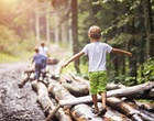 Kinder balancieren im Wald über Baumstämme.